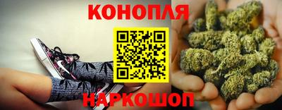 спайс Гусев