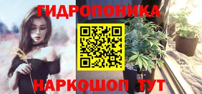 спайс Гусев