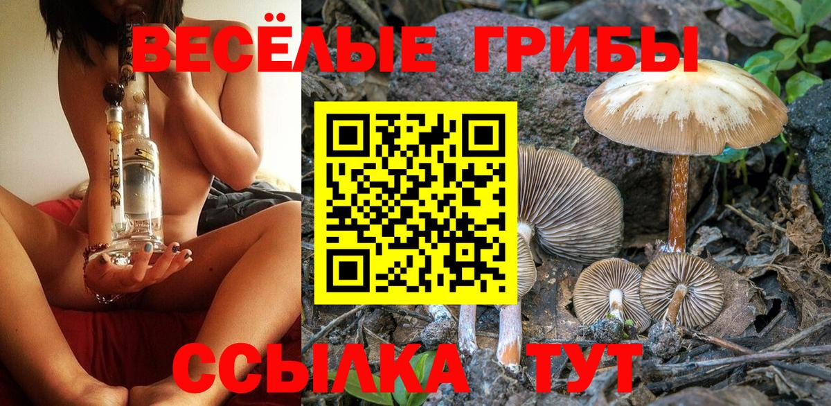Минусинск  Галлюциногенные грибы Cubensis  купить   Вход с VPN 